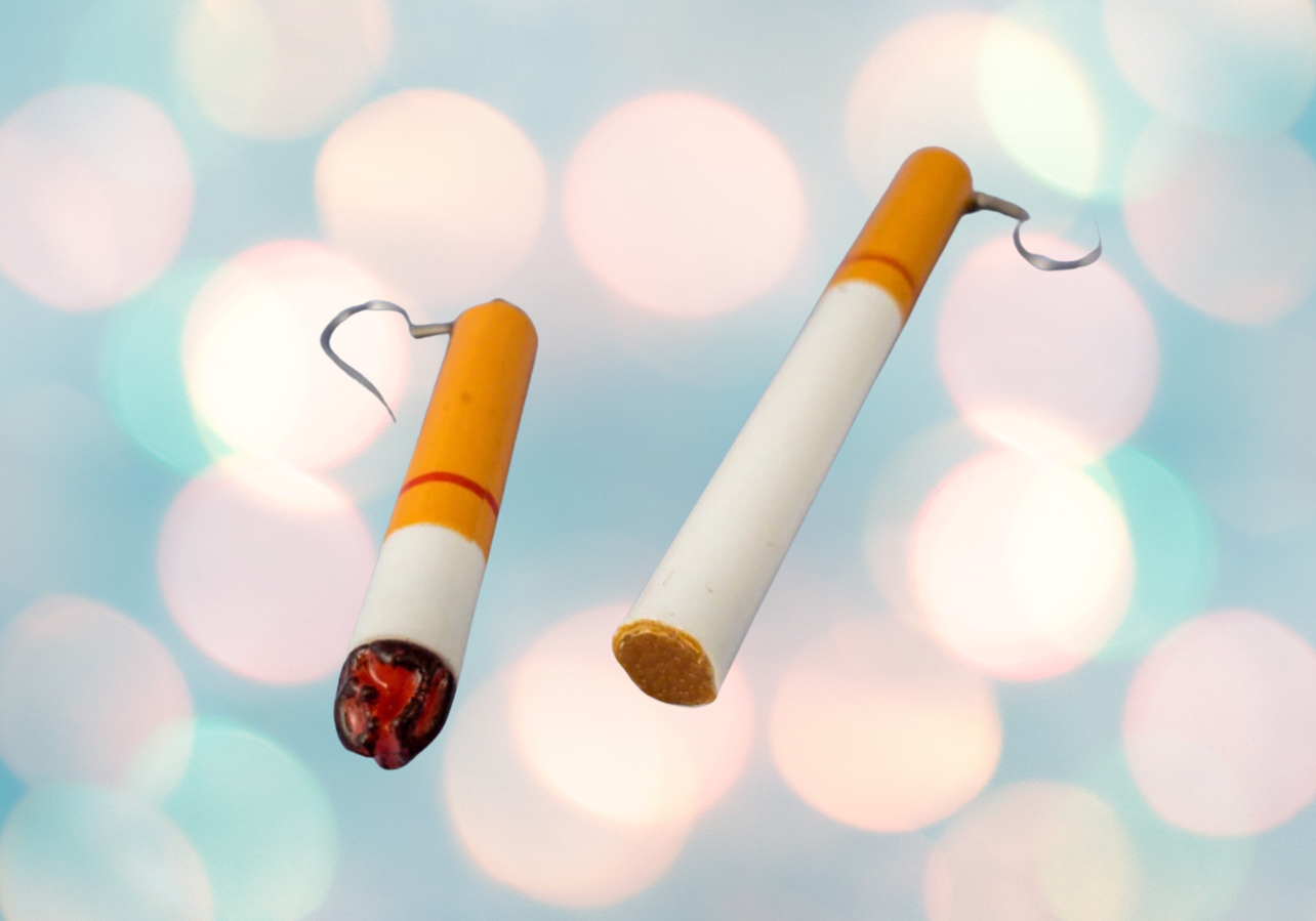 Funny Cigarette Shape Earrings OR Keychain | Punk Smoked Fashion Dangle/Stud | Jewelry Gift | Hypoallergenic | White Trash Party