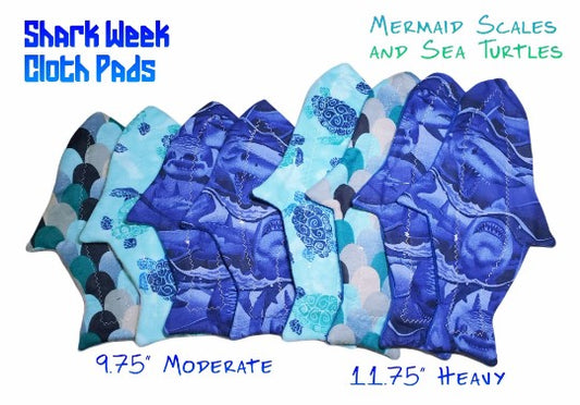 Custom Shark Week Pad | 9.75" & 11.75" with 2.5" Snapped Width | Discounted Sale