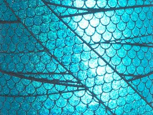 Cloth Pad Dry Straps - Elastic - Air Drying helps extend the life of your pad - Space Saver